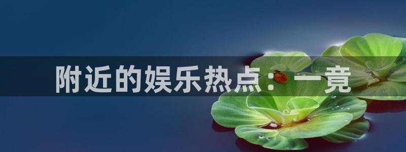 门徒平台登录地址
