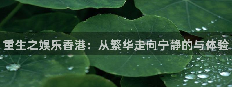 门徒娱乐官网
