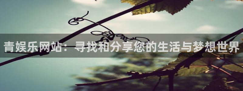 门徒平台注册中心