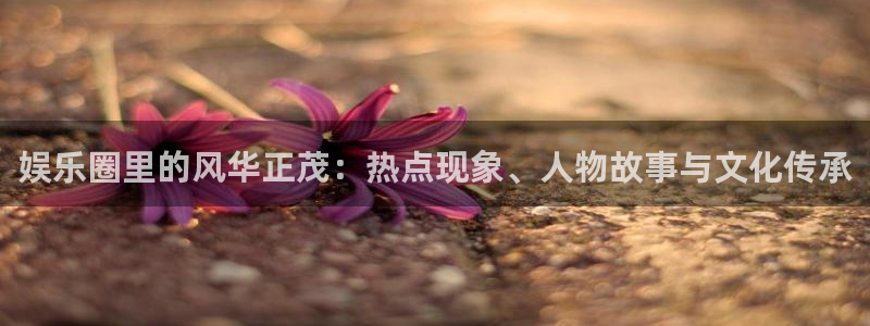 门徒平台登陆
